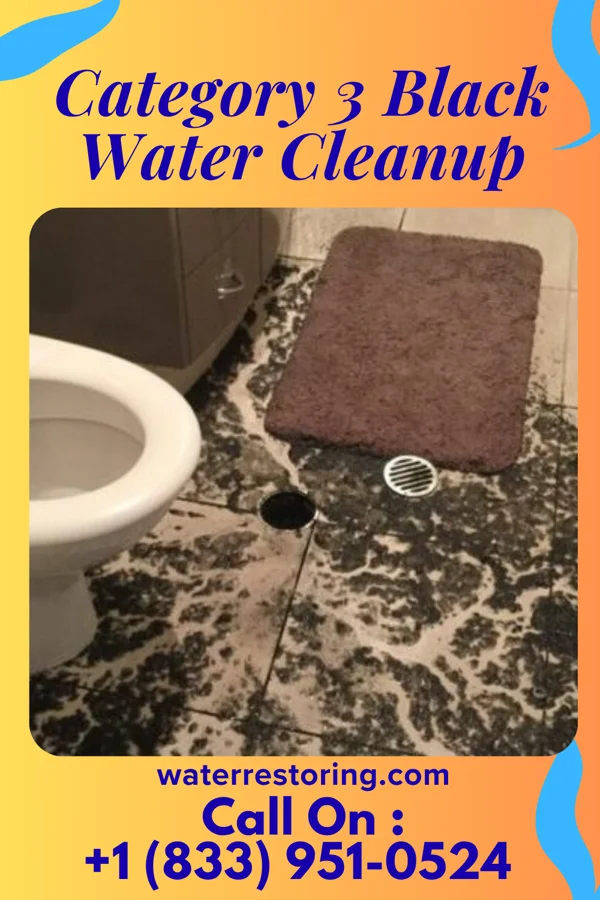 Category 3 Black Water Cleanup in Rendville, OH