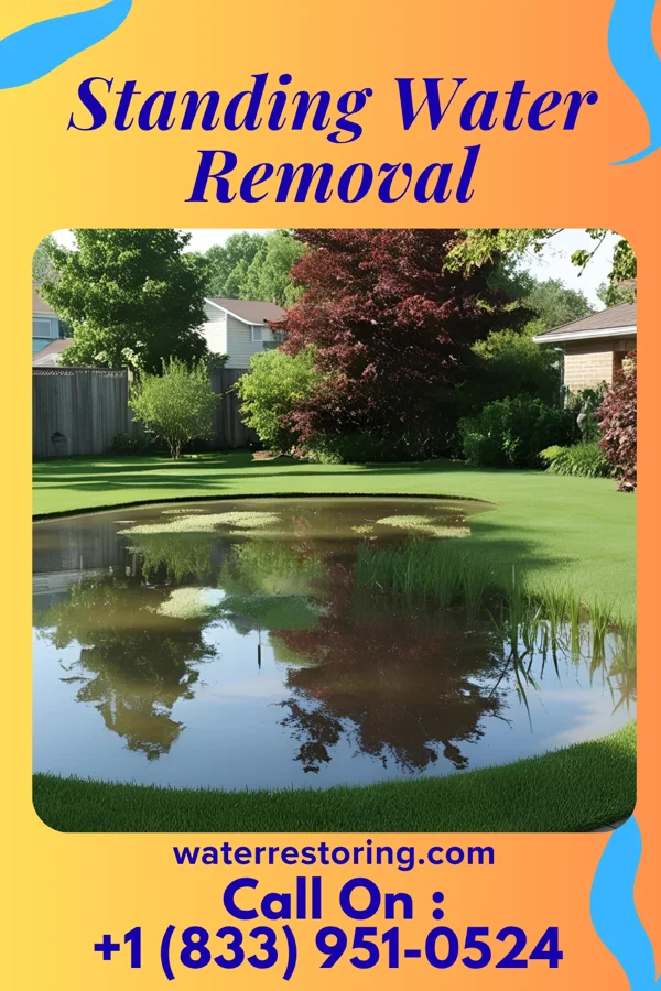 Standing Water Removal in Rendville, OH